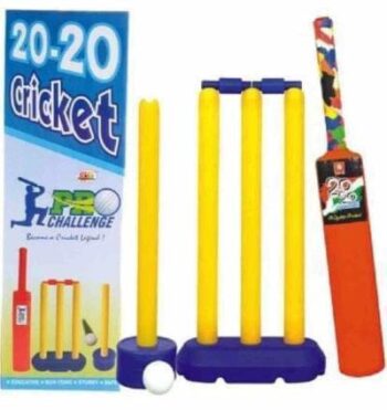 Cricket set
